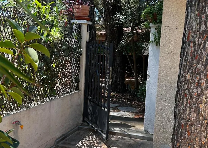 Cabanon A Sanary Sur Mer Au Coeur De Portissol.