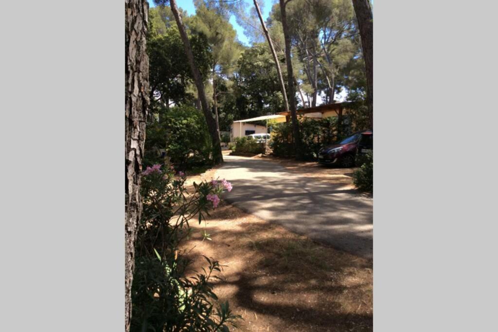 Cabanon à Sur Au Coeur De Portissol. Hébergement de vacances